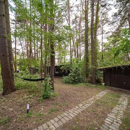 Zacisze Narwi * Kikoły