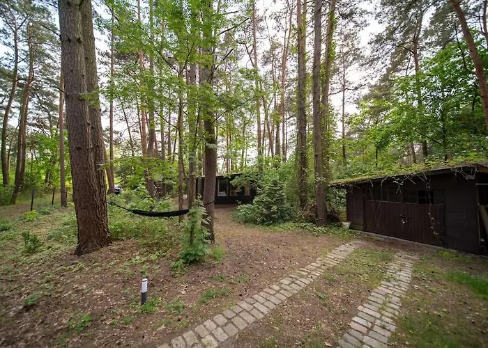 Zacisze Narwi * Kikoly